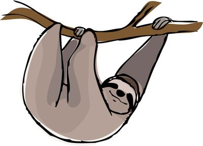 400x289 217 Best Sloth Love Images Cow, Fur Babies