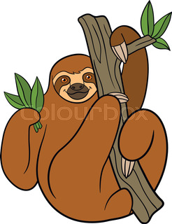 246x320 Sloth Head Vector Animal Illustration For T Shirt. Sketch Tattoo