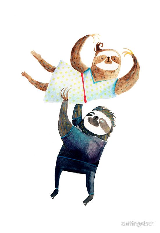 551x800 33 Best Sloths Images Wordpress, Sloths And Guitars