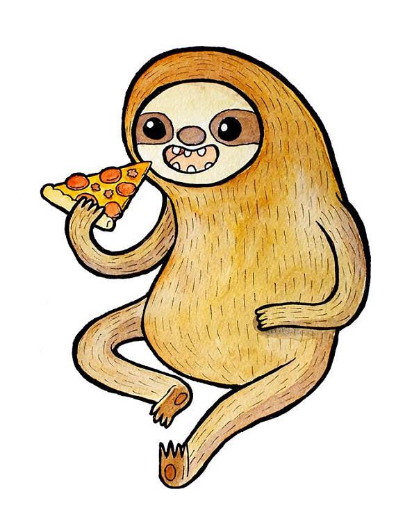 570x760 433 Best Sloths Images Drawings, Room And Prints