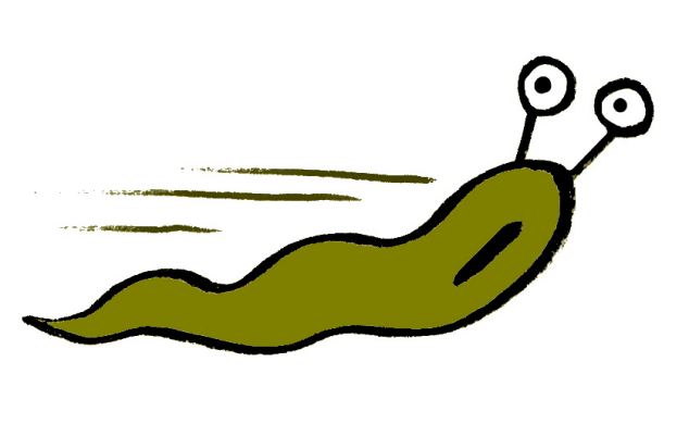 634x390 Mollusc Clipart Slug