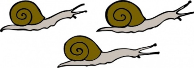 626x220 Snail Clipart