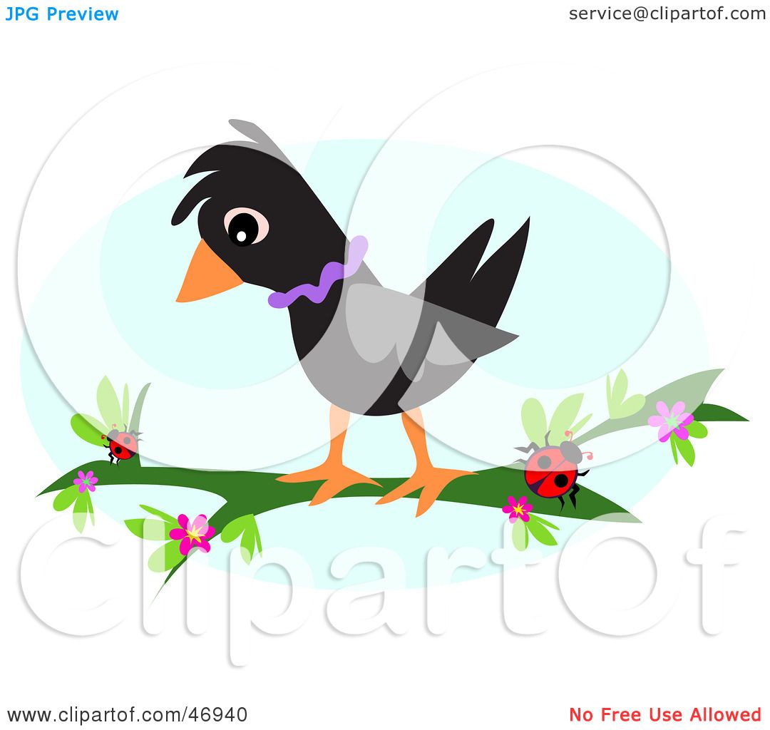 1080x1024 Blackbird Clipart Small Bird