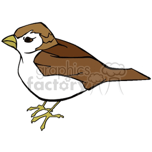 300x300 Royalty Free Small Brown And White Finch 130649 Vector Clip Art