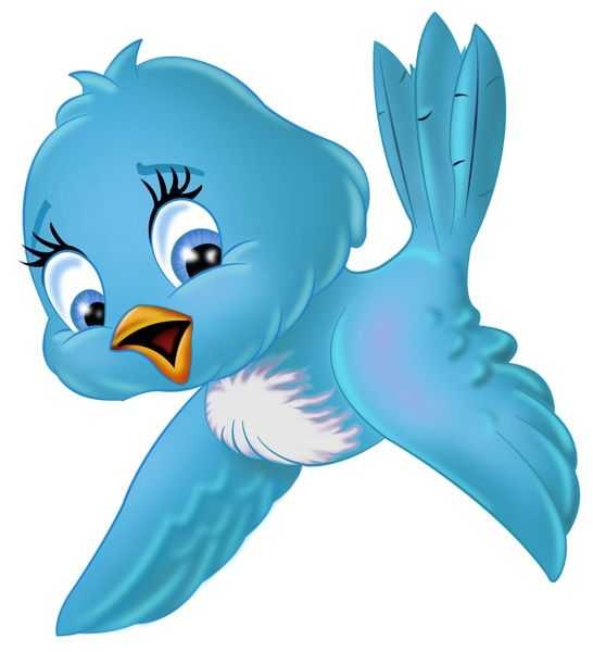 546x600 Top 10 Small Bird Clipart