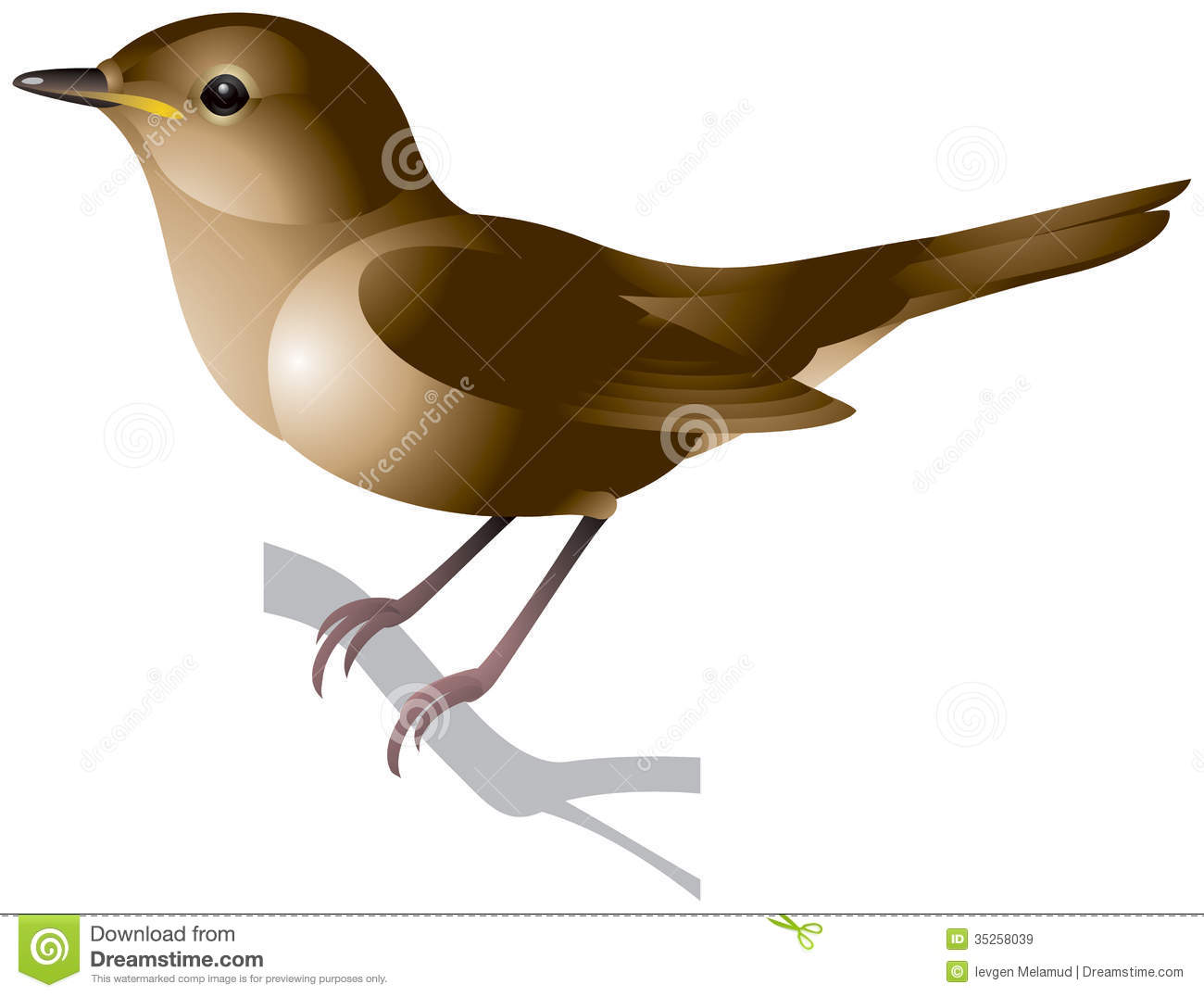 1300x1076 Top 96 Nightingale Clip Art