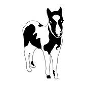 170x170 Small Pony Clip Art