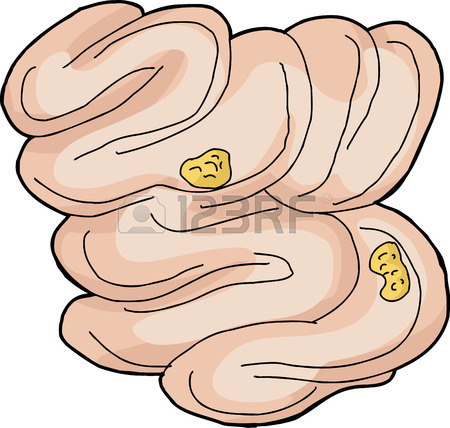 450x428 Hand Drawn Human Large Intestine Cartoon Over Purple Royalty Free