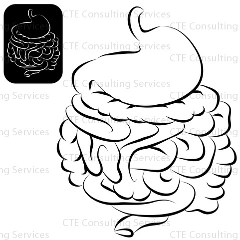 481x481 Intestine Clipart Black And White Letters Example