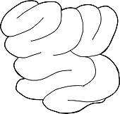 170x162 Small Intestine Clip Art