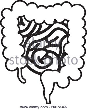 300x382 Small Intestine Icon Stock Vector Art Amp Illustration, Vector Image