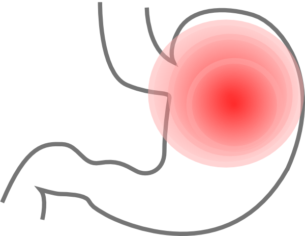 600x463 Stomach Clip Art