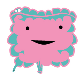 284x280 The Digestive System On Emaze