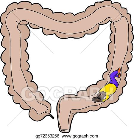 450x465 Vector Illustration