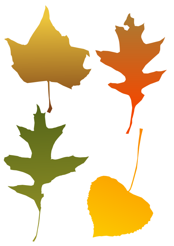 566x800 Free Graphics Of Trees And Leaves