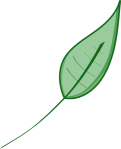 242x297 Green Leaf Clip Art