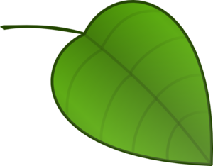 300x234 Leaf Clip Art