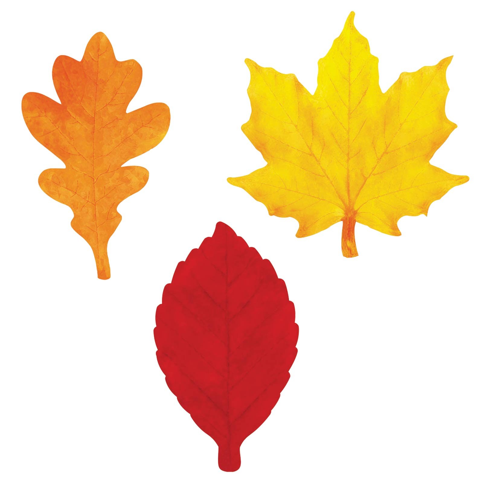 1600x1600 Leaves Clipart Apple Leaf