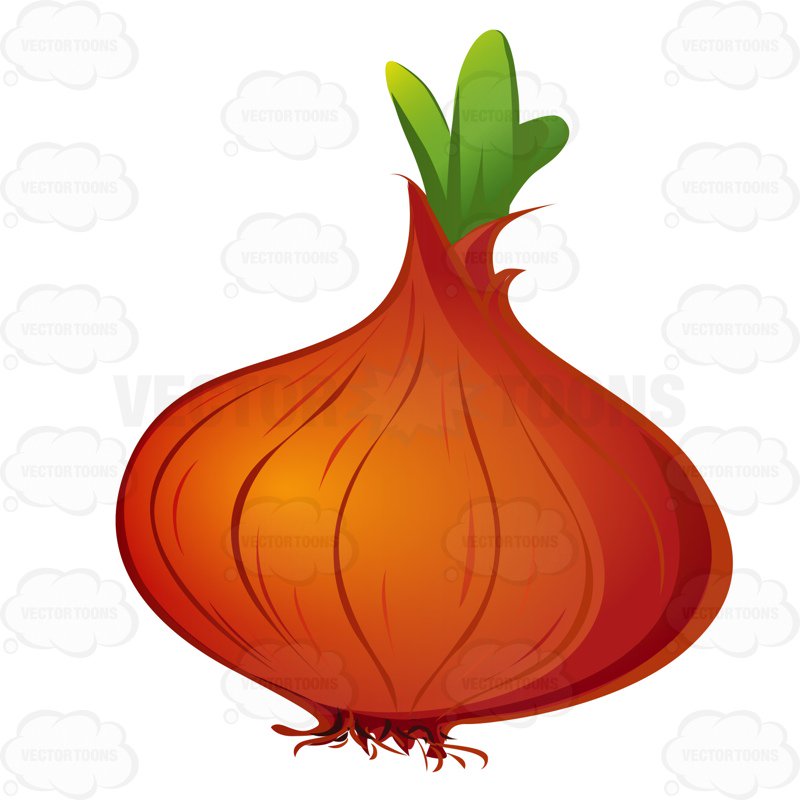 800x800 Onion With Small Leaves Coming Out Of The Top Cartoon Clipart