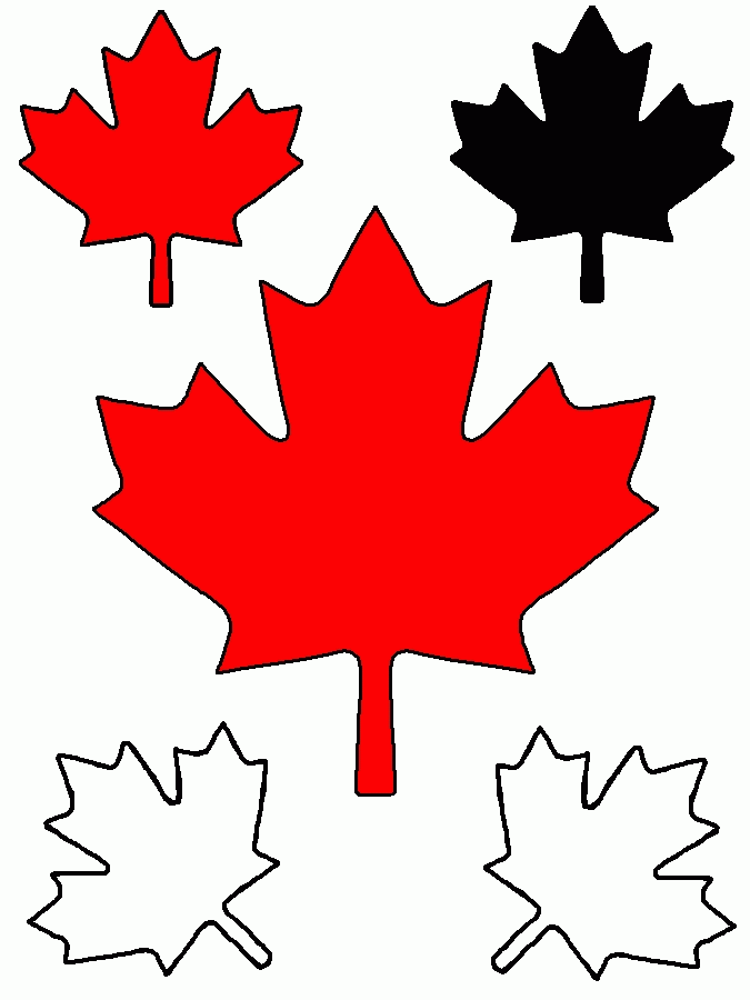 675x900 Small Clipart Maple Leaf