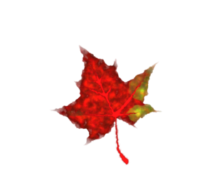 298x267 Fall Leaf Clip Art