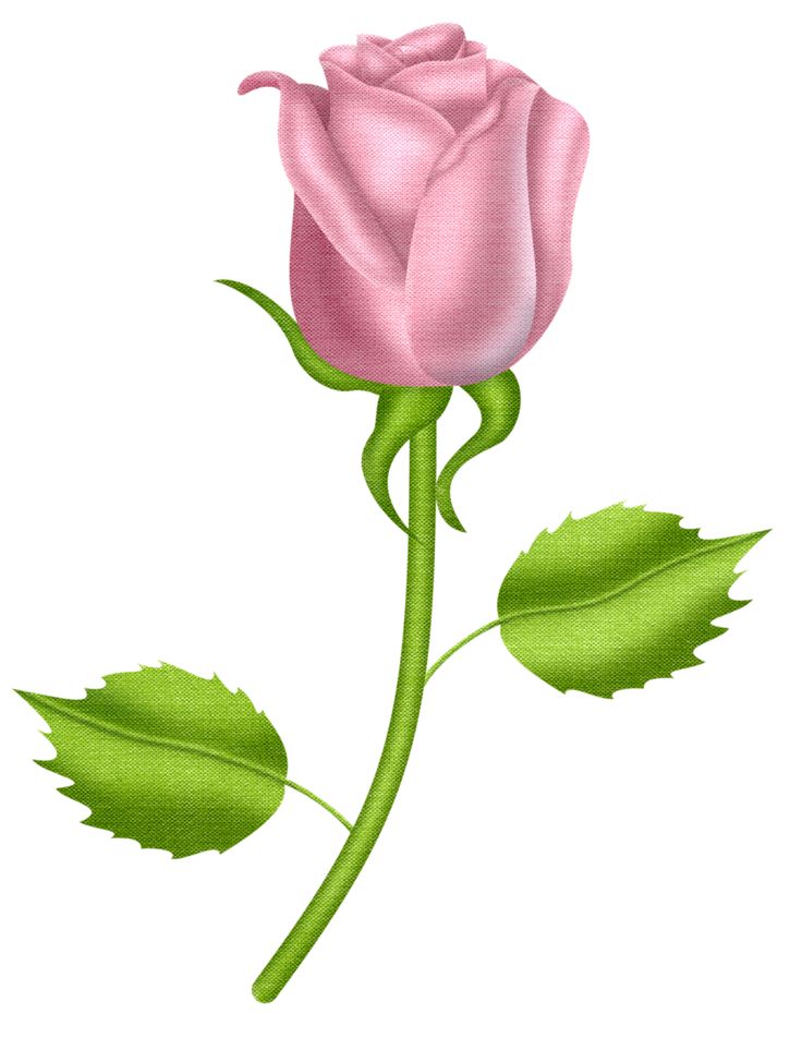 Small Rose Clipart