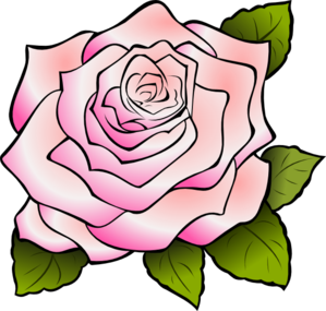 299x285 Pink Rose Clip Art