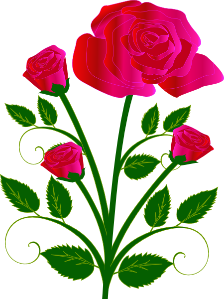 450x600 Pink Rose With Buds Clip Art
