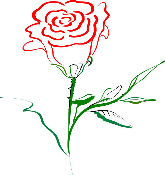 564x598 Rose Clipart Rose Outline
