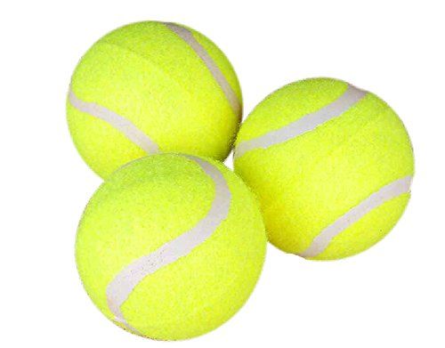 500x391 3372 Best Dog Toy Balls Images The Sale, Products