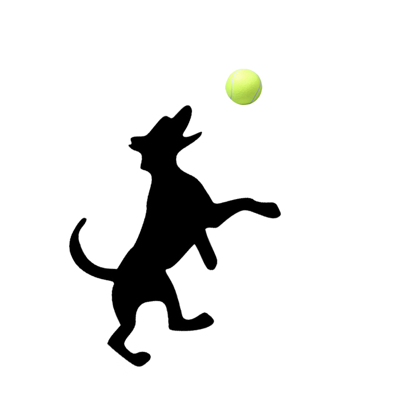 801x801 Online Shop 3 Ballsset 6.5cm Tennis Ball For Pet Small Dog Cat