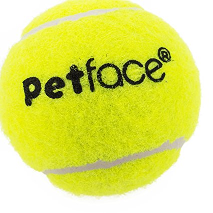 425x425 Petface Mini Super Tennis Balls, 4 Cm, 5 Piece Amazon.co.uk Pet