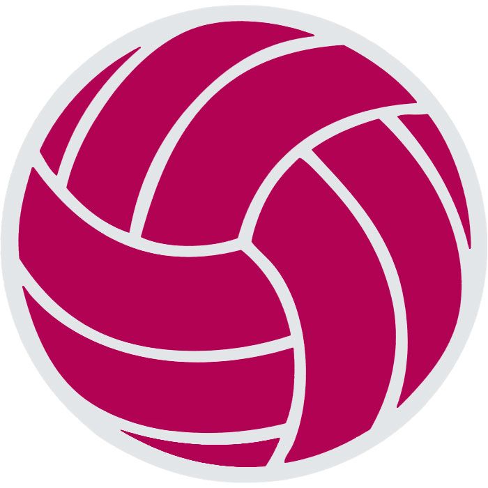 700x700 98 Best Volleyball Images Facts, Love And My Life