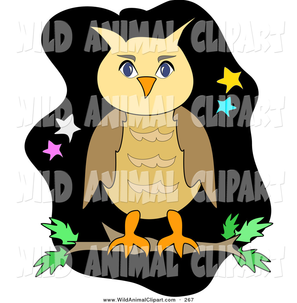1024x1044 Brown Hawk Owl Clipart Smart