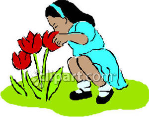 300x235 Smelling Tulips