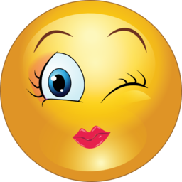 256x256 Wink Face Clip Art