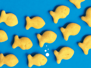 300x225 Snacks Diving Into Extrusion Csp Daily News