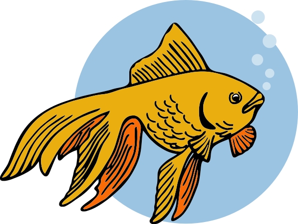 597x450 Goldfish Snack Clipart
