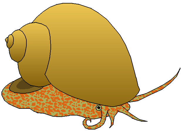 617x456 Snail Clipart 3 Clipartix