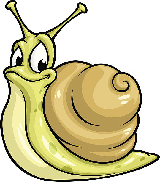 539x612 Snail Clipart Illustration
