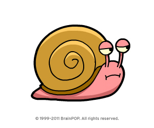 300x250 Snail Clipart Slow