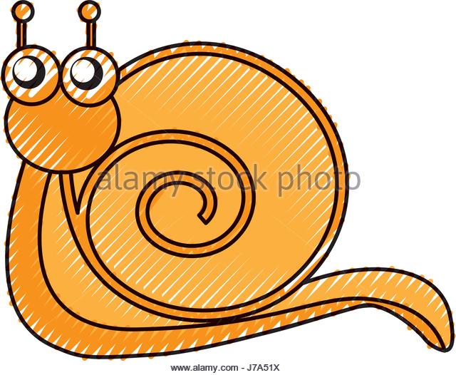 640x526 Cold Snail Clipart, Explore Pictures