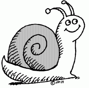 300x297 Snail Clip Art Black And White Free Clipart Images