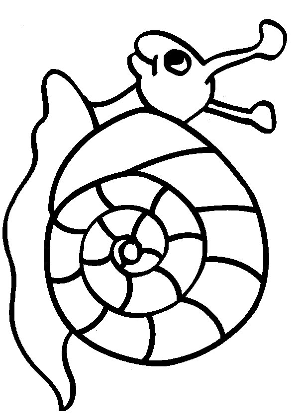 595x842 Snail Animal Coloring Pages 14.gif Kid Colour Me
