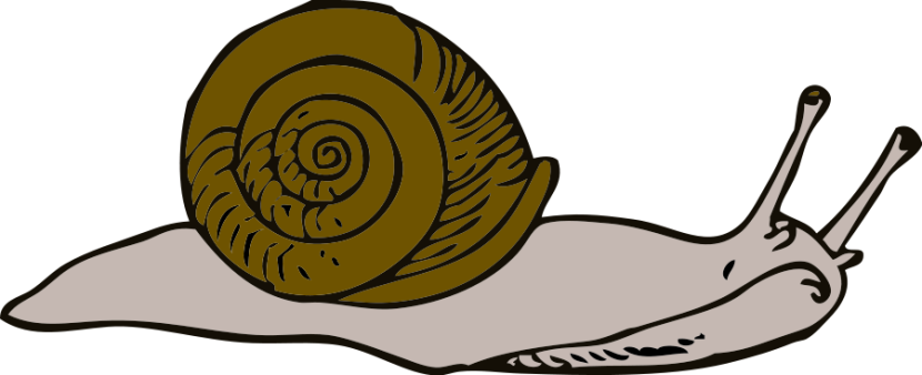 830x338 Snail Clip Art