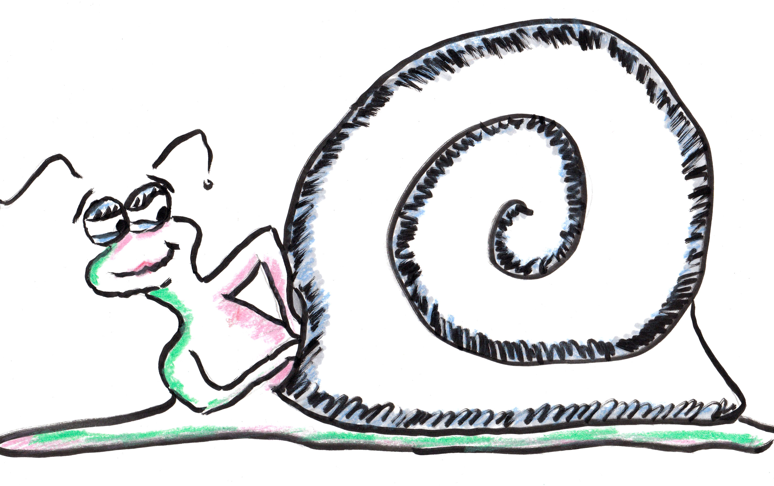 2952x1856 Drawn Snail Garden Snail