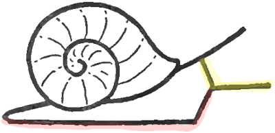 400x194 How To Draw Snails With Simple Step By Step Drawing Instructions