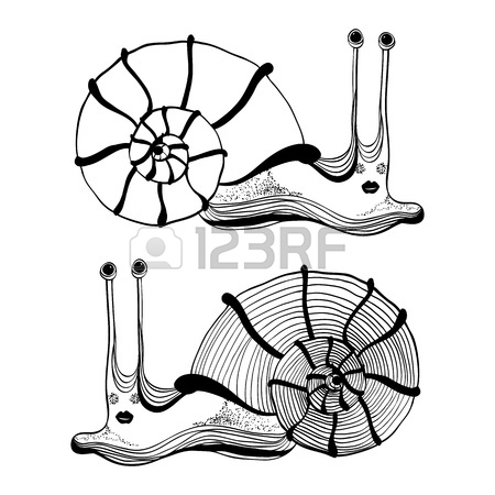 450x450 Cartoon Drawing Of Cute Smiling Snail Royalty Free Cliparts