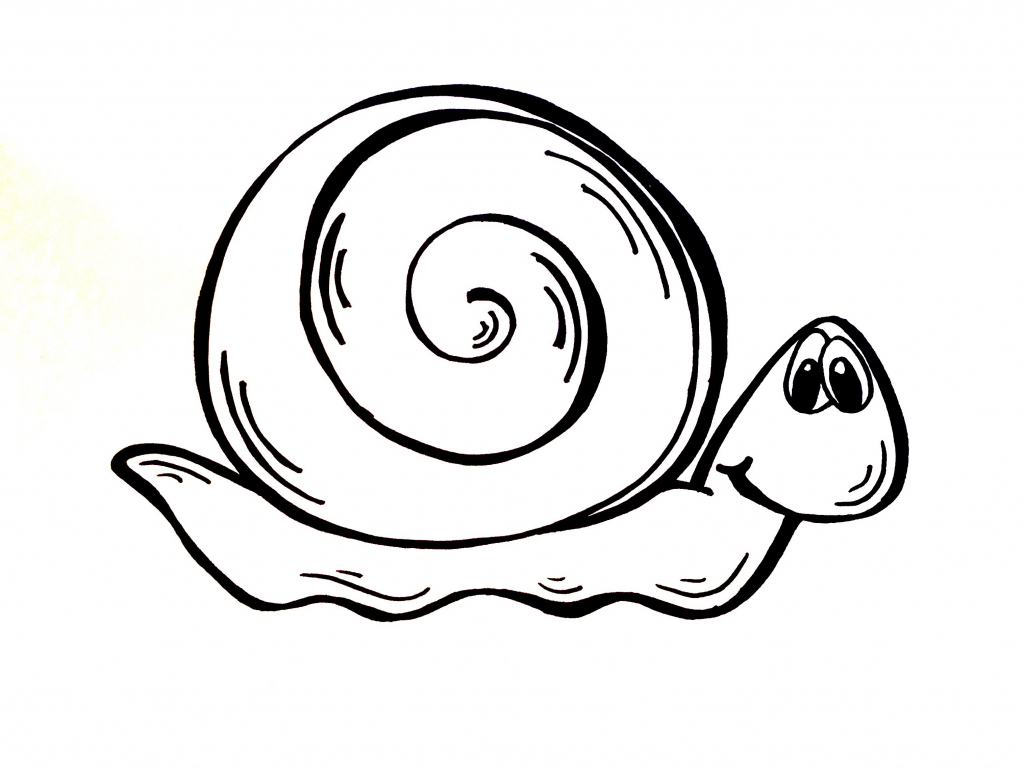 1024x767 Simple Snail Drawing Httpsiytimgviplgqsdeqoqimaxresdefault