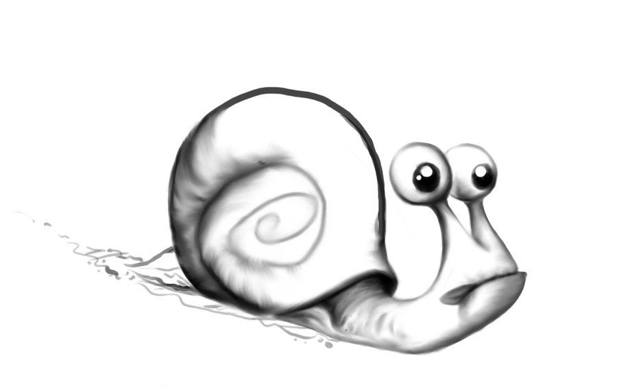 900x571 Snail Drawings